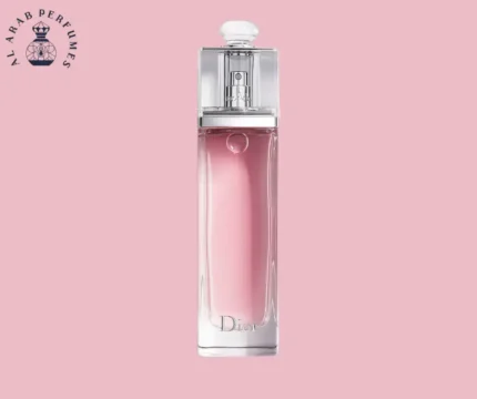 Dior Addict by Christian Dior for Women 100ml