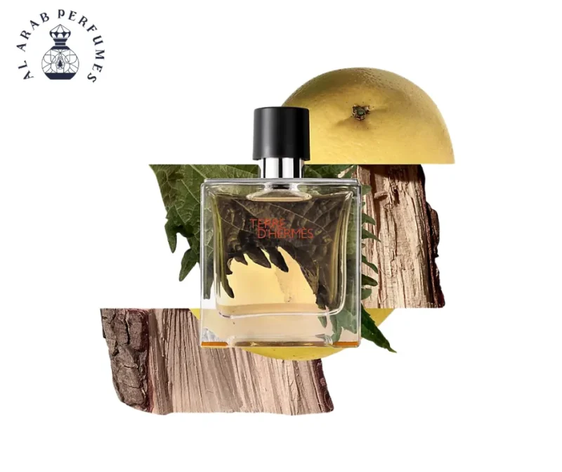 Terre DHermes By Hermes Eau De Toilette Spray -Men Gallery Image 1