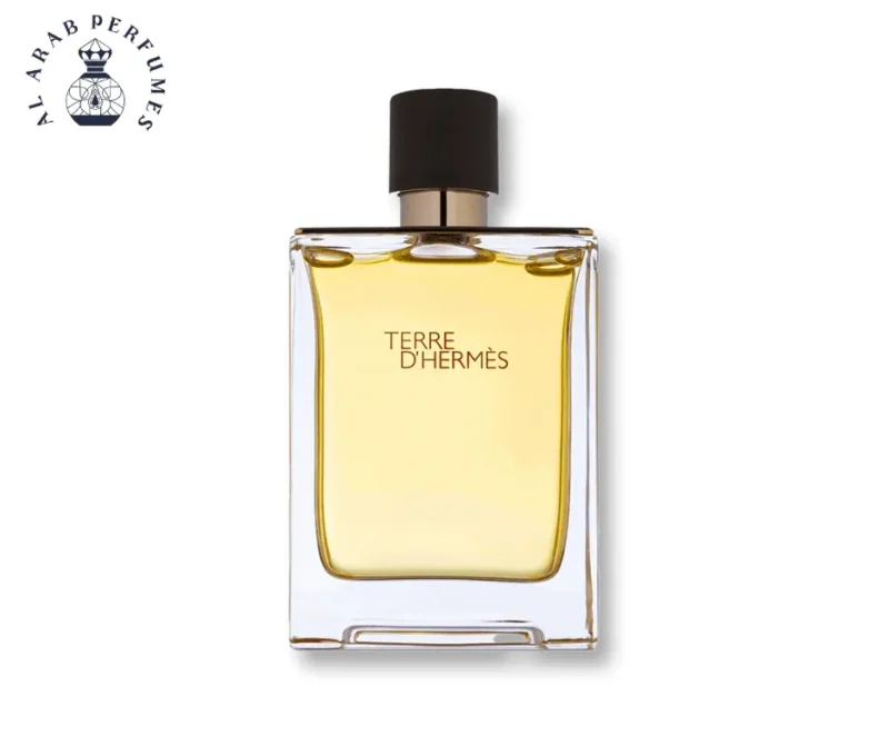 Terre DHermes By Hermes Eau De Toilette Spray -Men Gallery Image 3